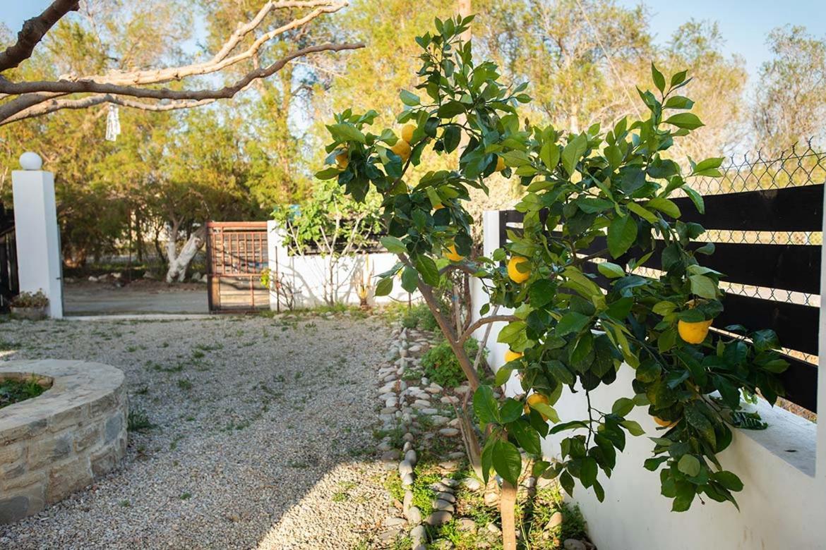 Afrathias Beachhouse - Cretan Hideaway Kalamaki  Dış mekan fotoğraf